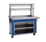 Delfield Delfield KCI-50 Shelleyglas® 3-Pan Size Iced Cold Pan Fiberglass Storage Base Cold Food Serving Counter