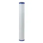 Everpure Everpure EV910825 CG5-20