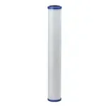Everpure Everpure EV910827 CG5-20S