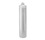 Everpure Everpure EV960800 Model 4JT