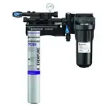 Everpure Everpure EV979721 KleenSteam II Single System