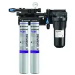 Everpure Everpure EV979722 KleenSteam II Twin System