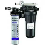 Everpure Everpure EV979750 KleenSteam CT System